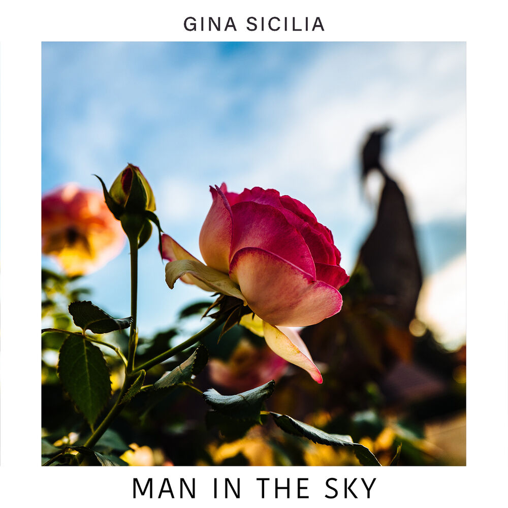 Picture of Man in the Sky