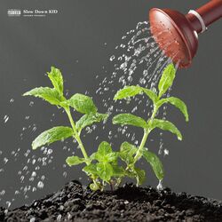 Cover of Slow Down, KID