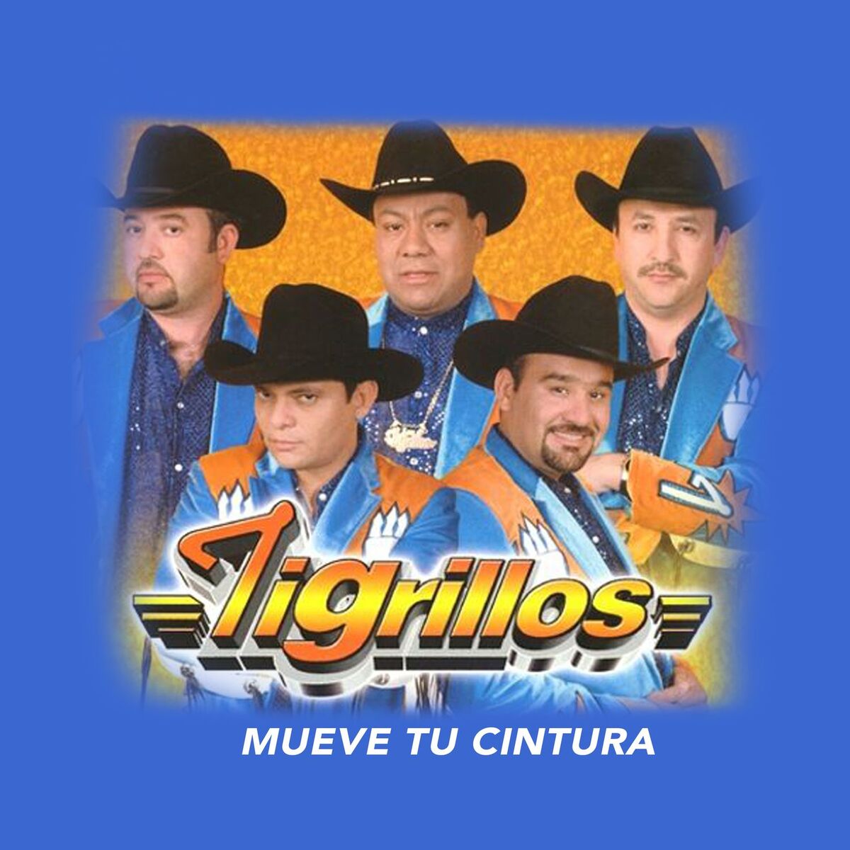 Album cover of Mueve Tu Cintura