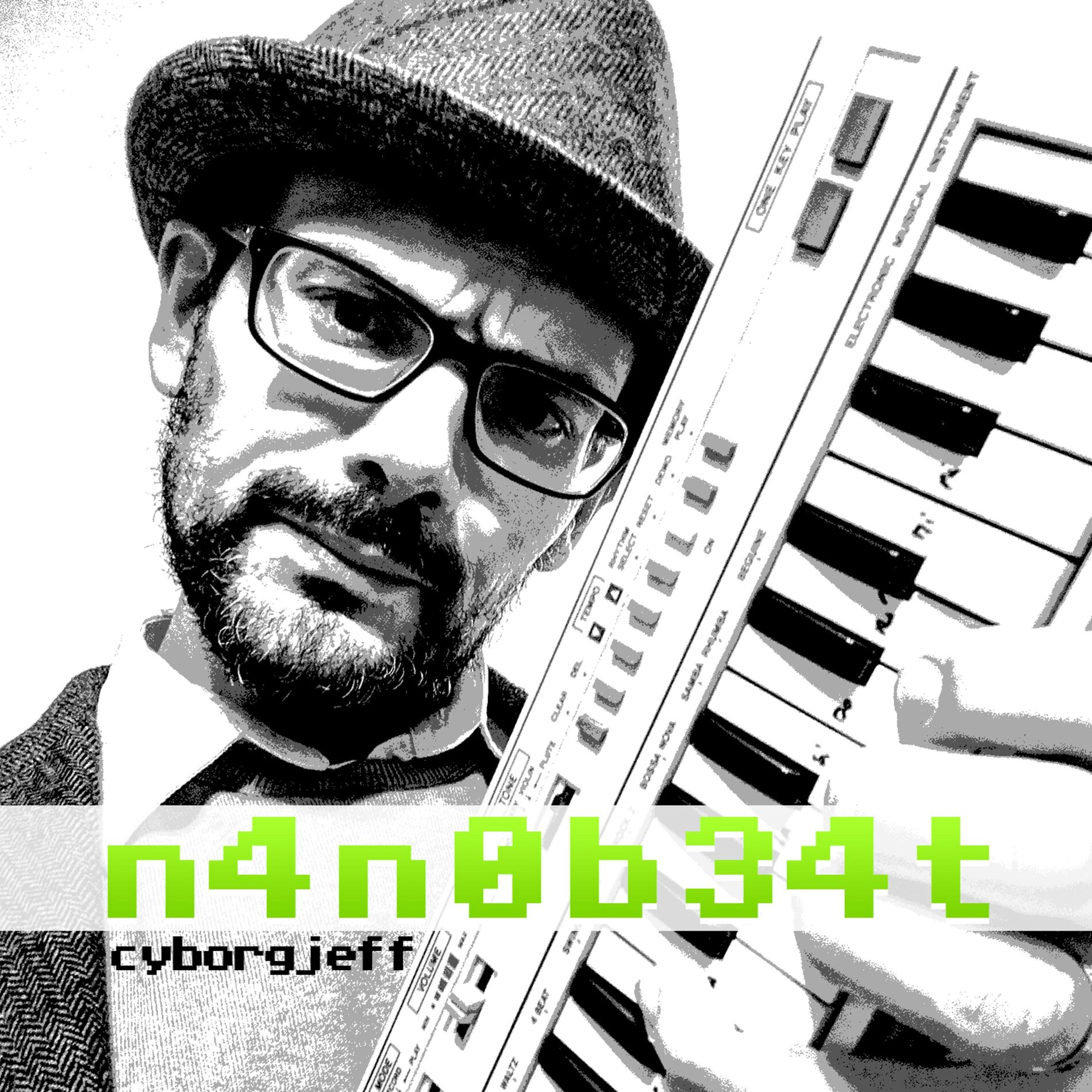 Album cover of N4n0b34t