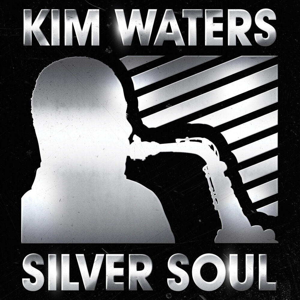 Picture of Silver Soul
