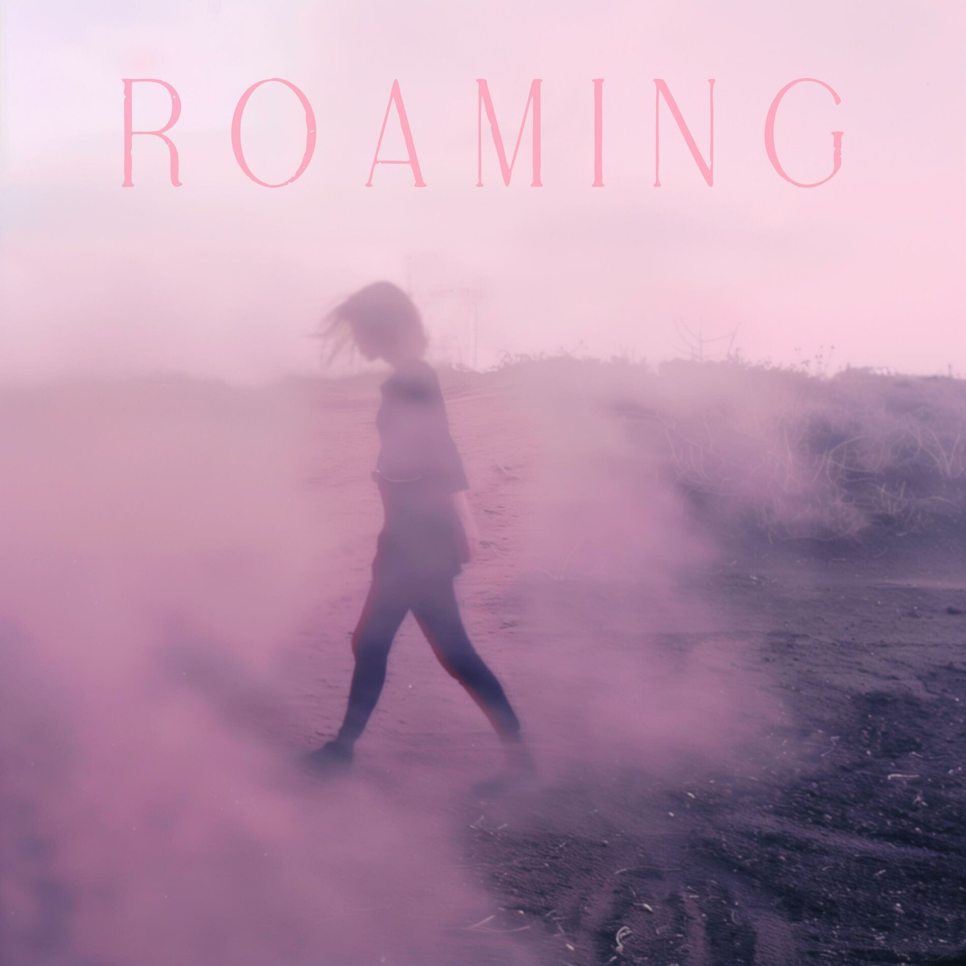 Album cover of Roaming