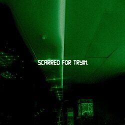 Cover of Scarred for Tryin.