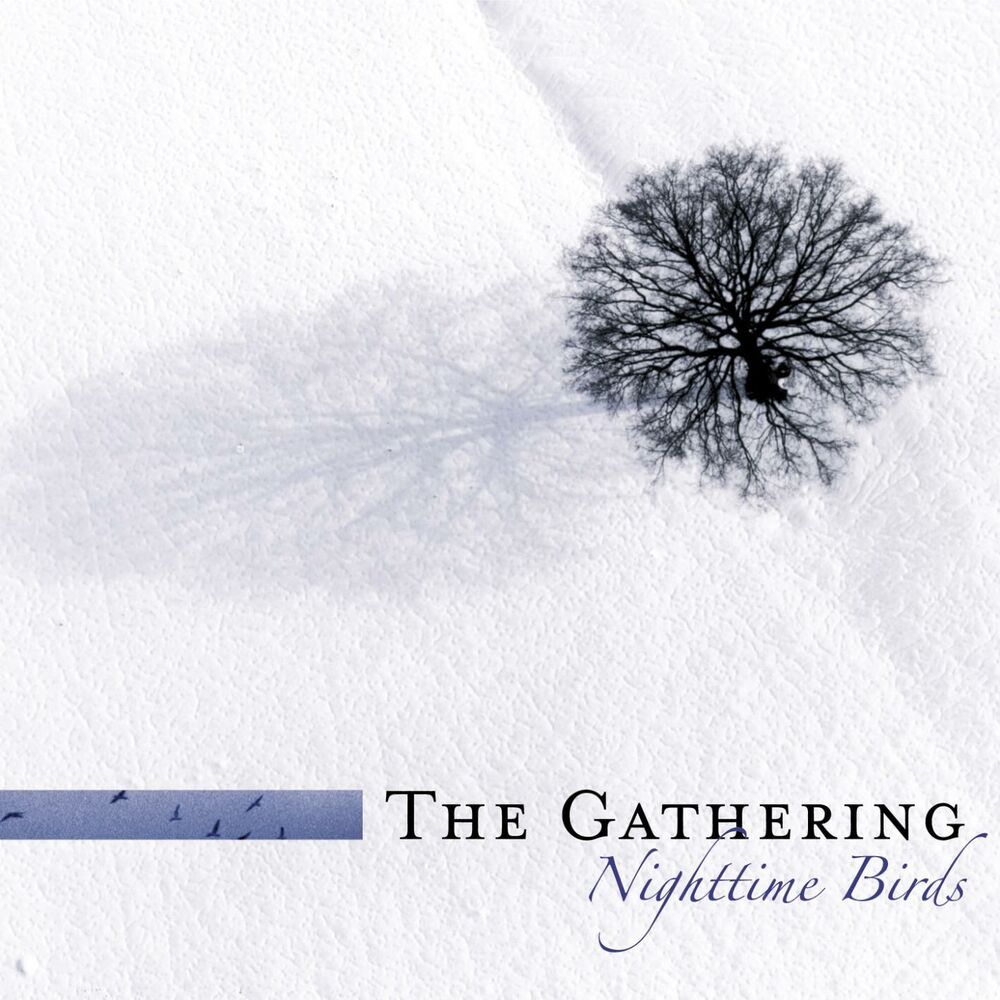 Picture of Nighttime Birds (Re-issue 2007 incl. Bonus tracks)