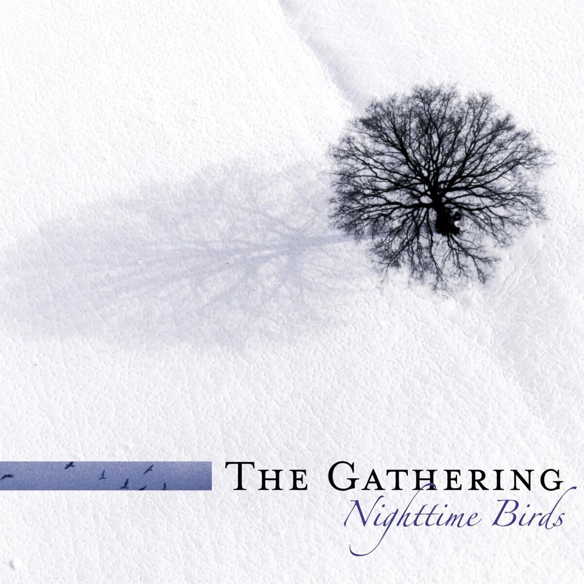 Album cover of Nighttime Birds (Re-issue 2007 incl. Bonus tracks)