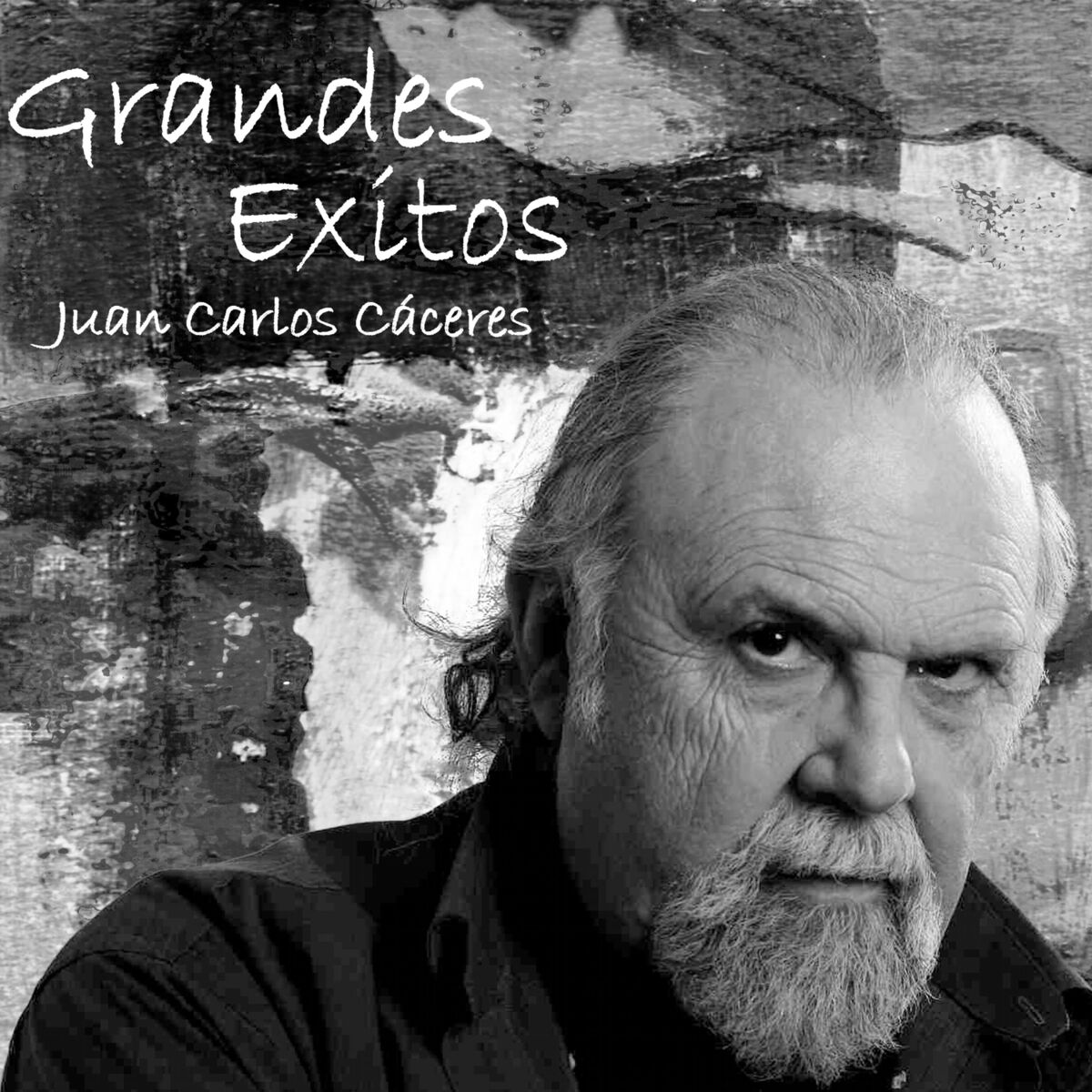Album cover of Grandes Exitos