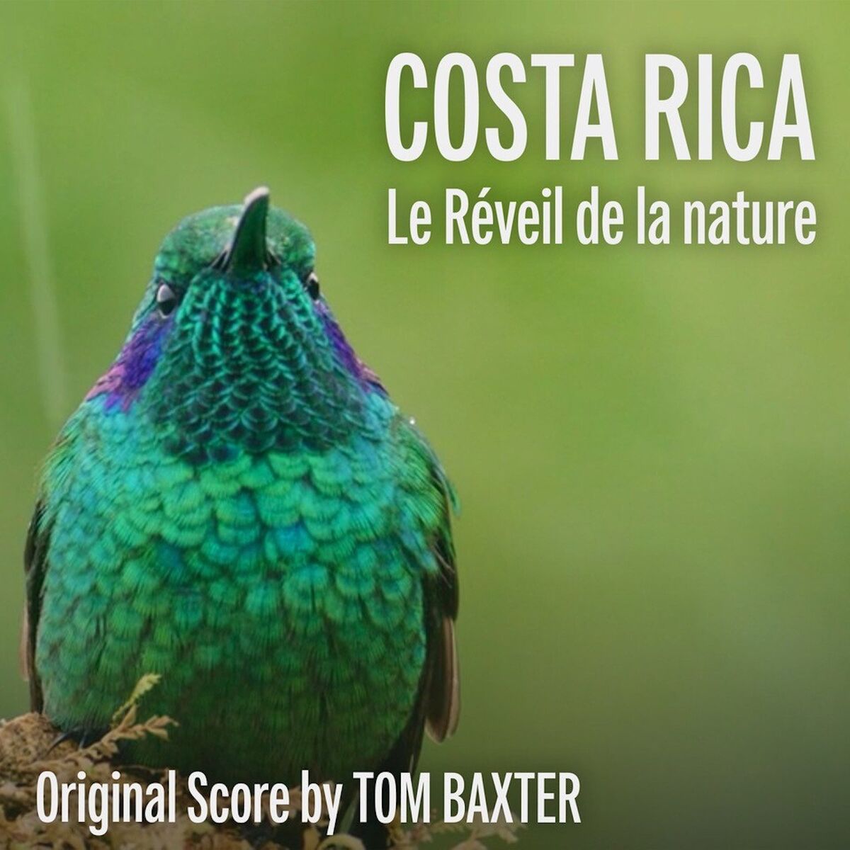 Album cover of Costa Rica : Le réveil de la nature (Original Score)