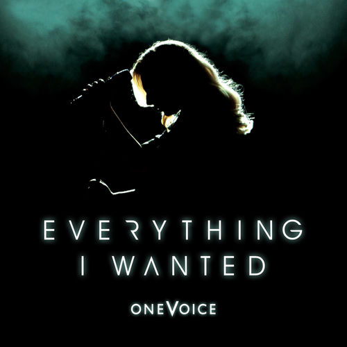 Everything I Wanted