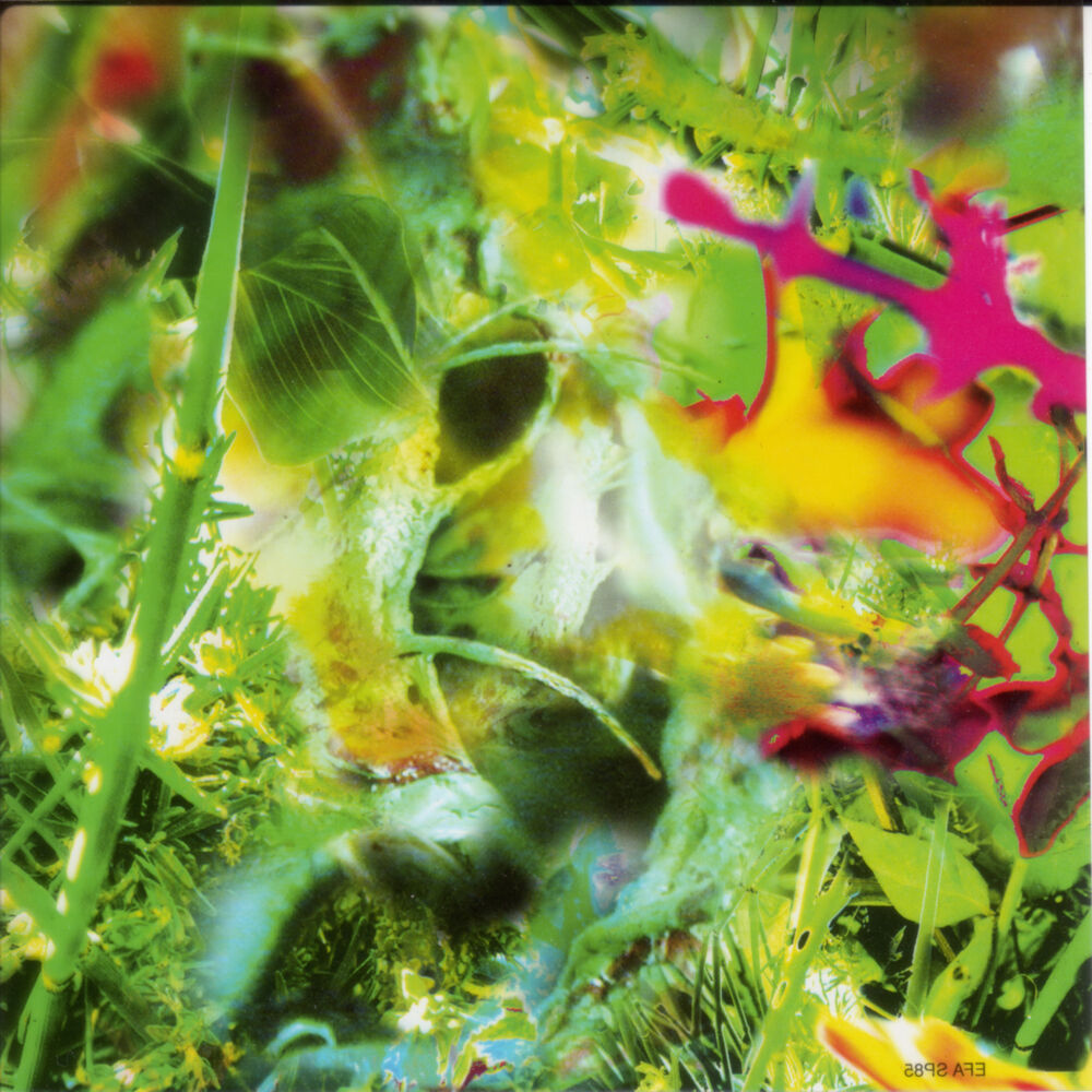 Picture of Second Nature