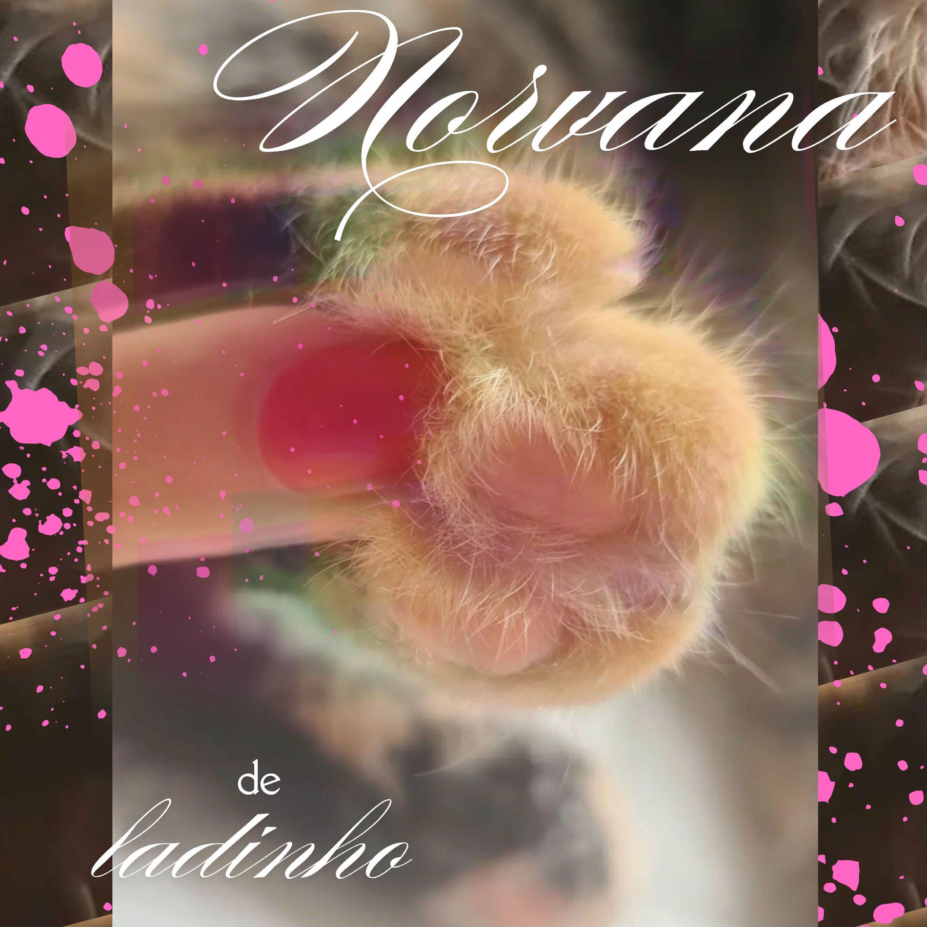 Album cover of De Ladinho