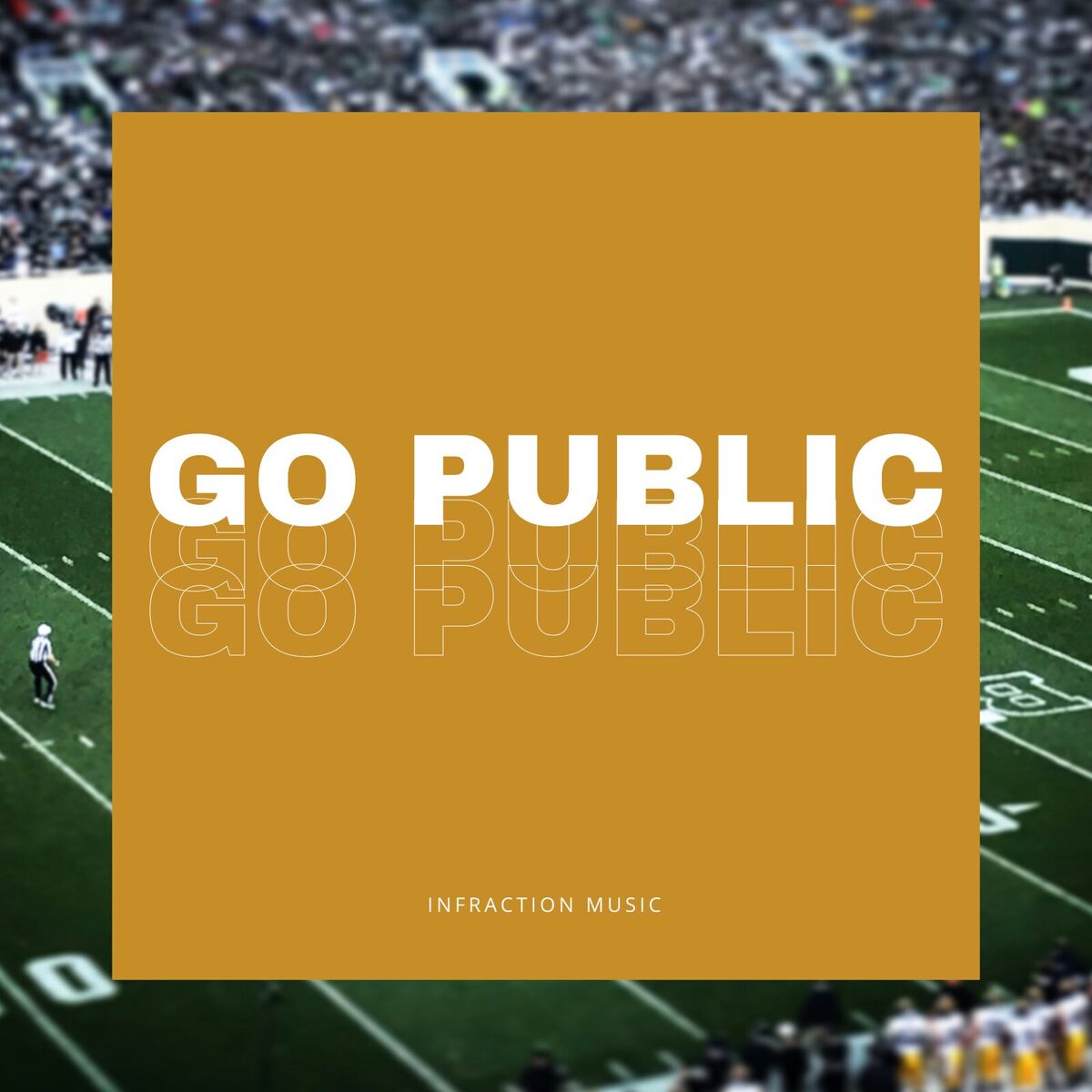 Album cover of Go Public