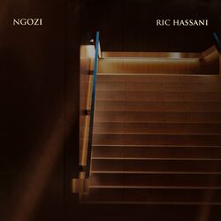 Cover of Ngozi