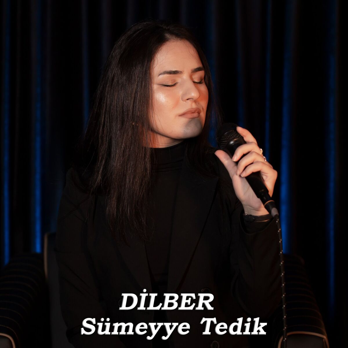 Album cover of Dilber