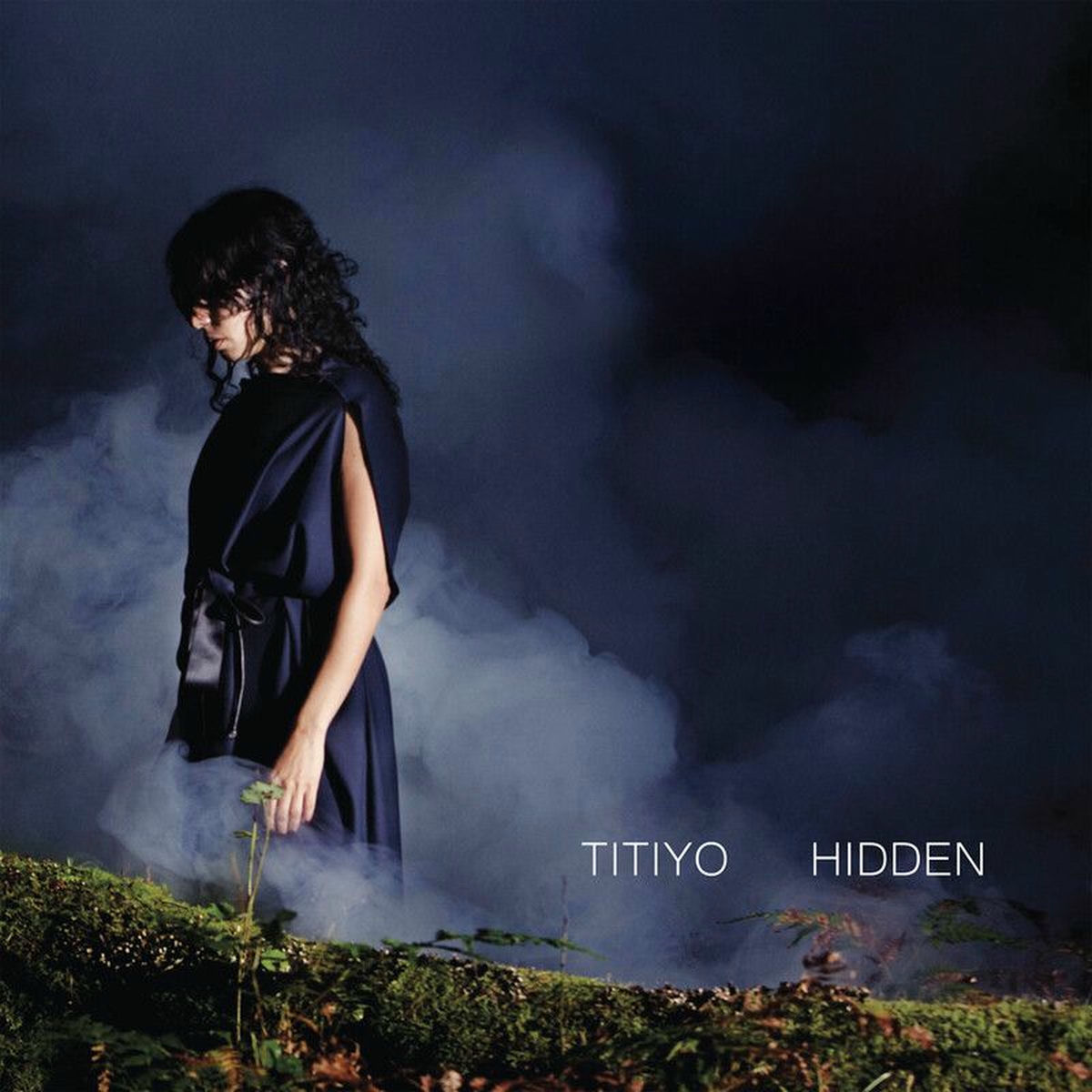 Album cover of Hidden