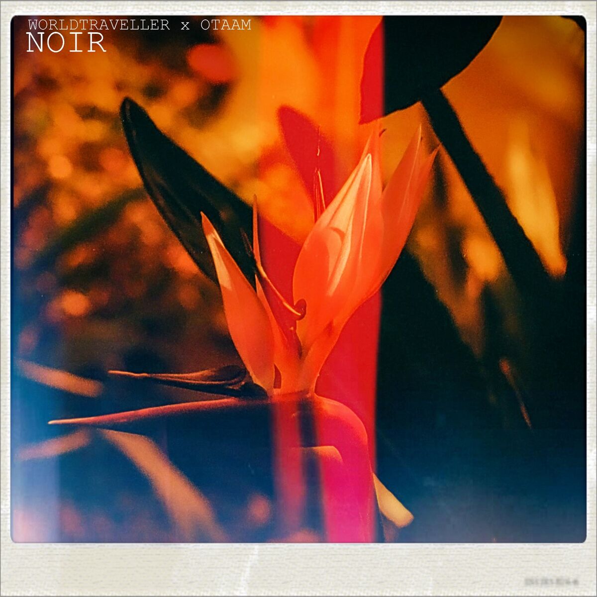 Album cover of NOIR