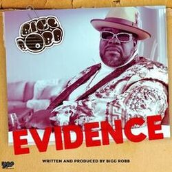 Cover of Evidence