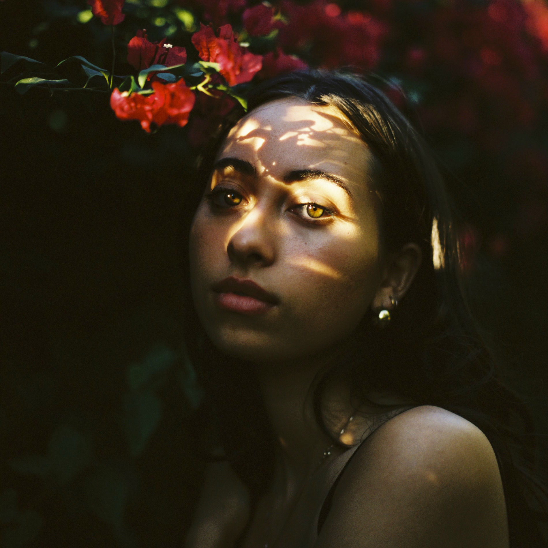 Album cover of Lonely