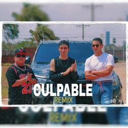 Cover of Culpable Remix (Remix)