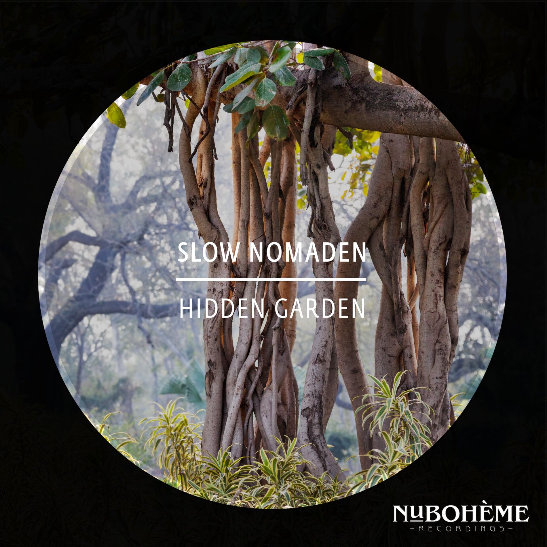 Album cover of Hidden Garden