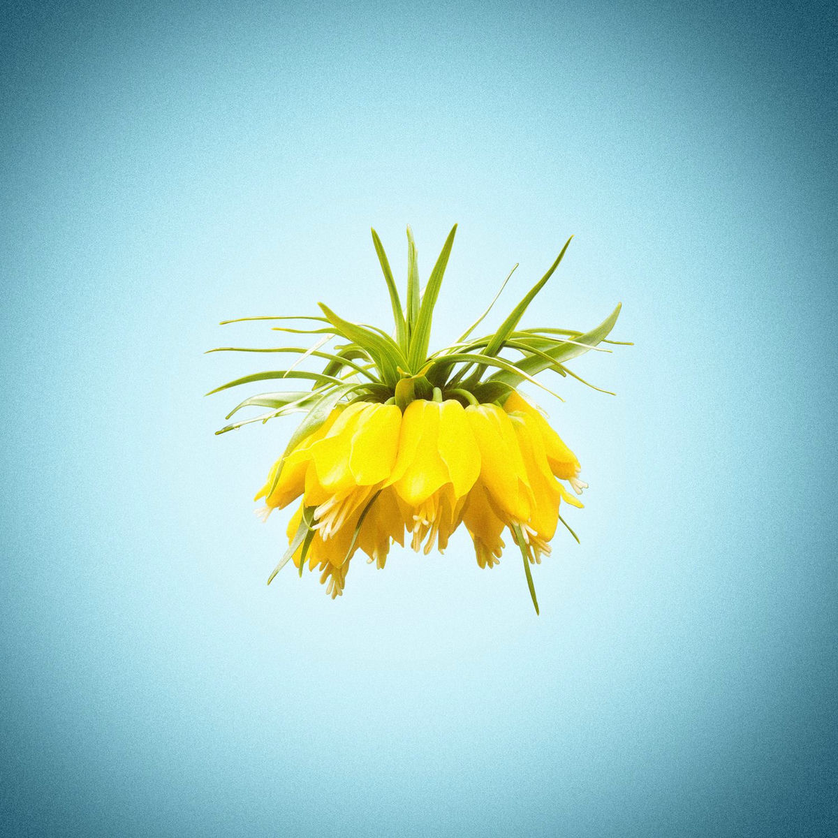 Album cover of Her Veî