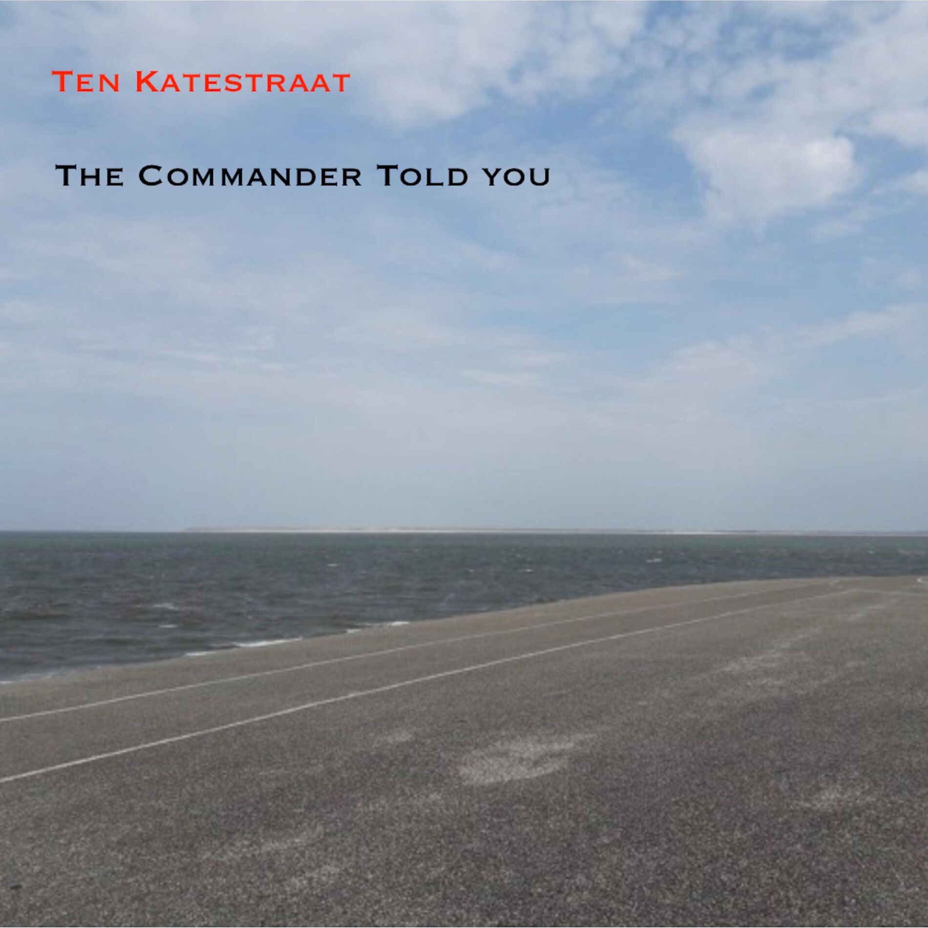 Album cover of The Commander Told You