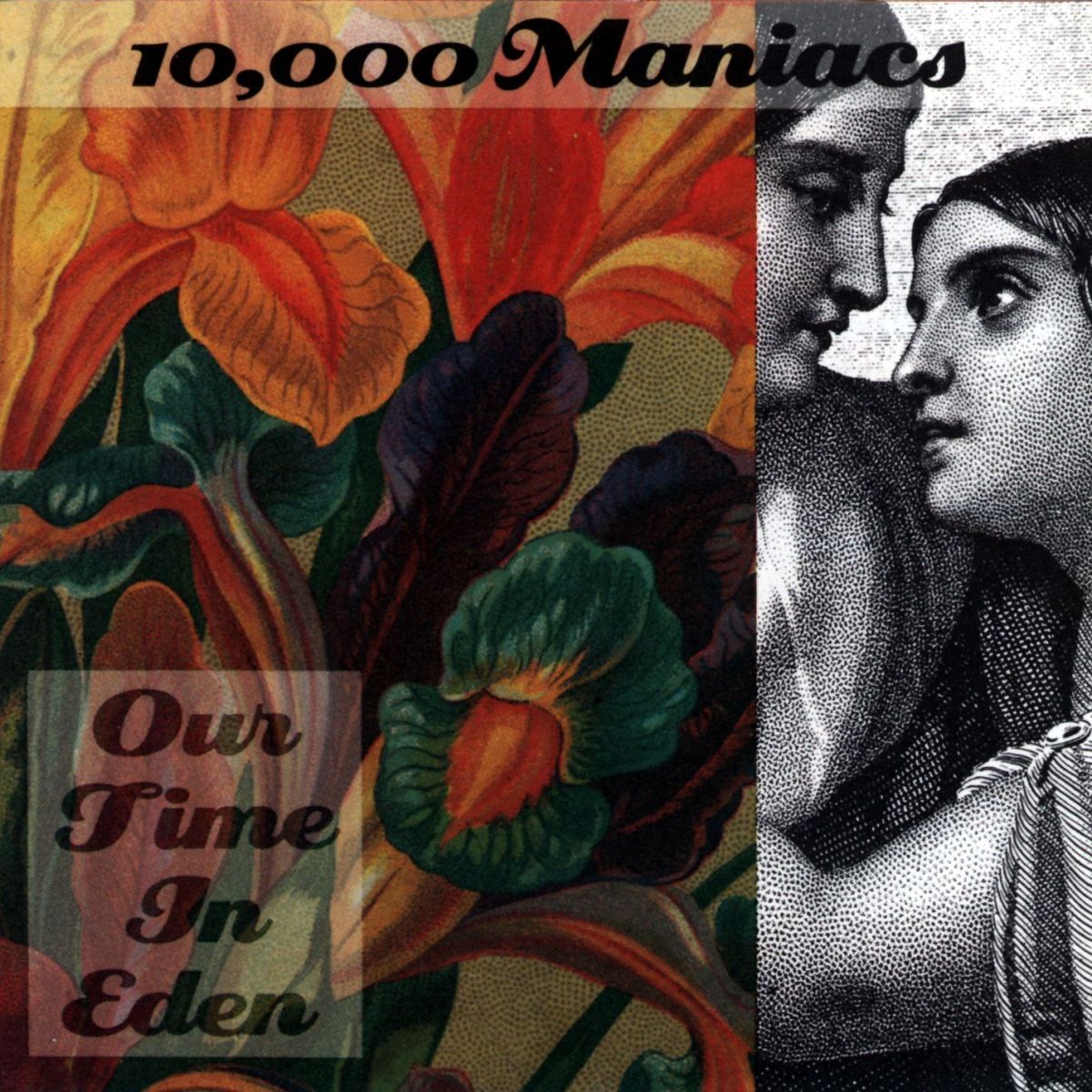 Album cover of Our Time in Eden