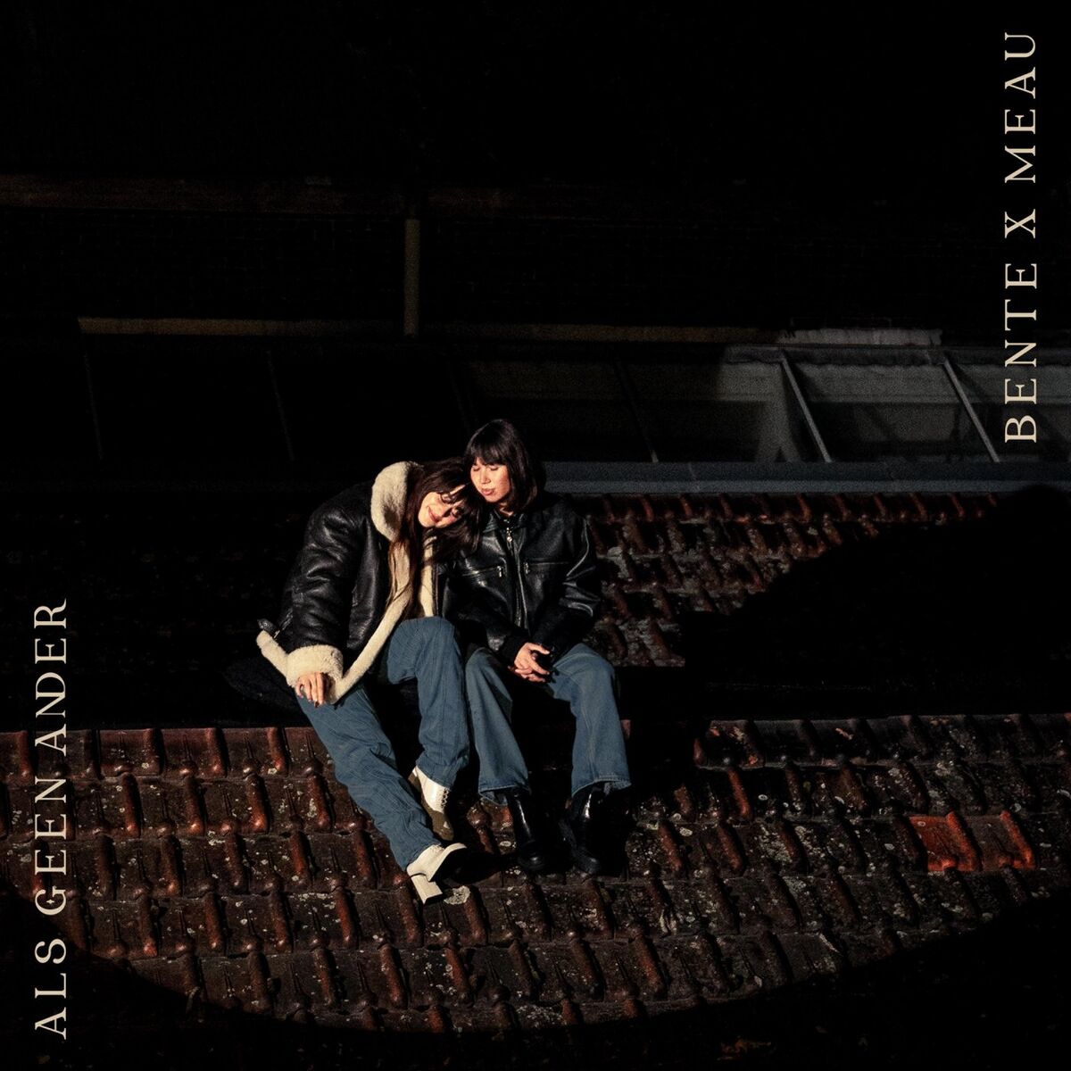 Album cover of Als Geen Ander