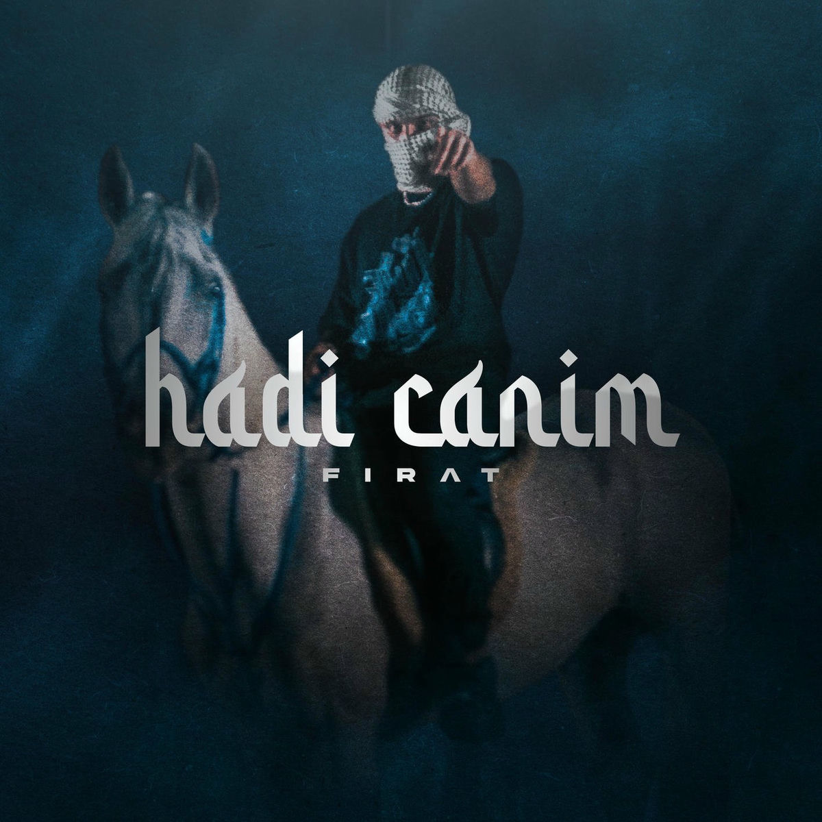 Album cover of HADI CANIM