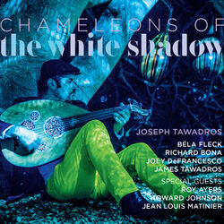 Cover of Chameleon of The White Shadow