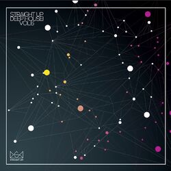 Cover of Straight Up Deep House! Vol. 6