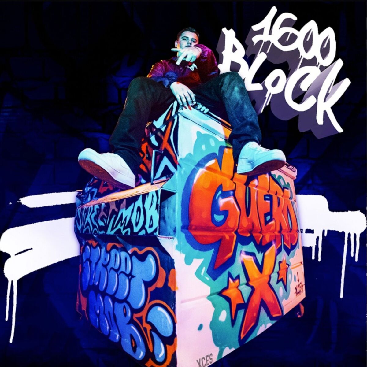 Album cover of Una Desvelada