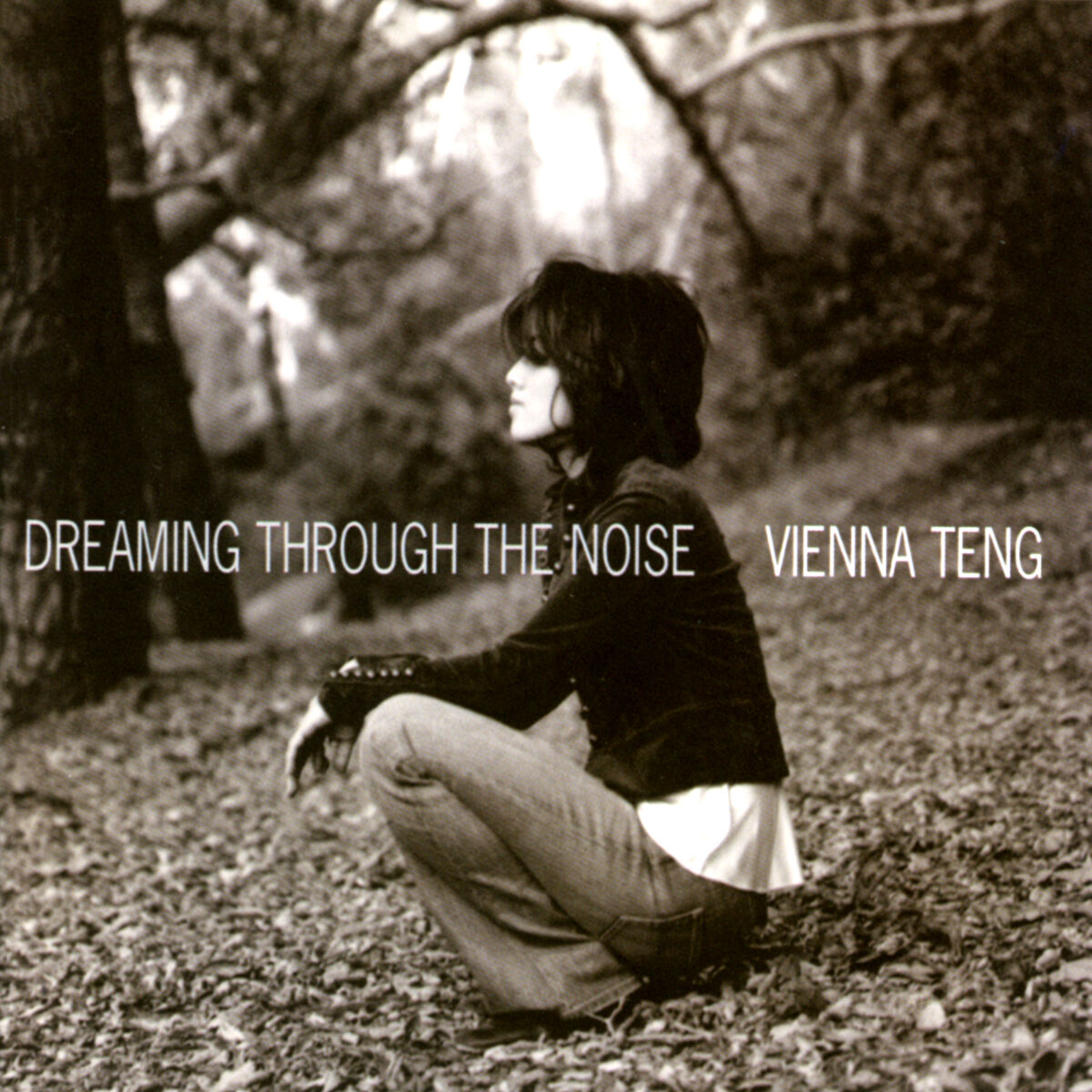 Album cover of Dreaming Through The Noise