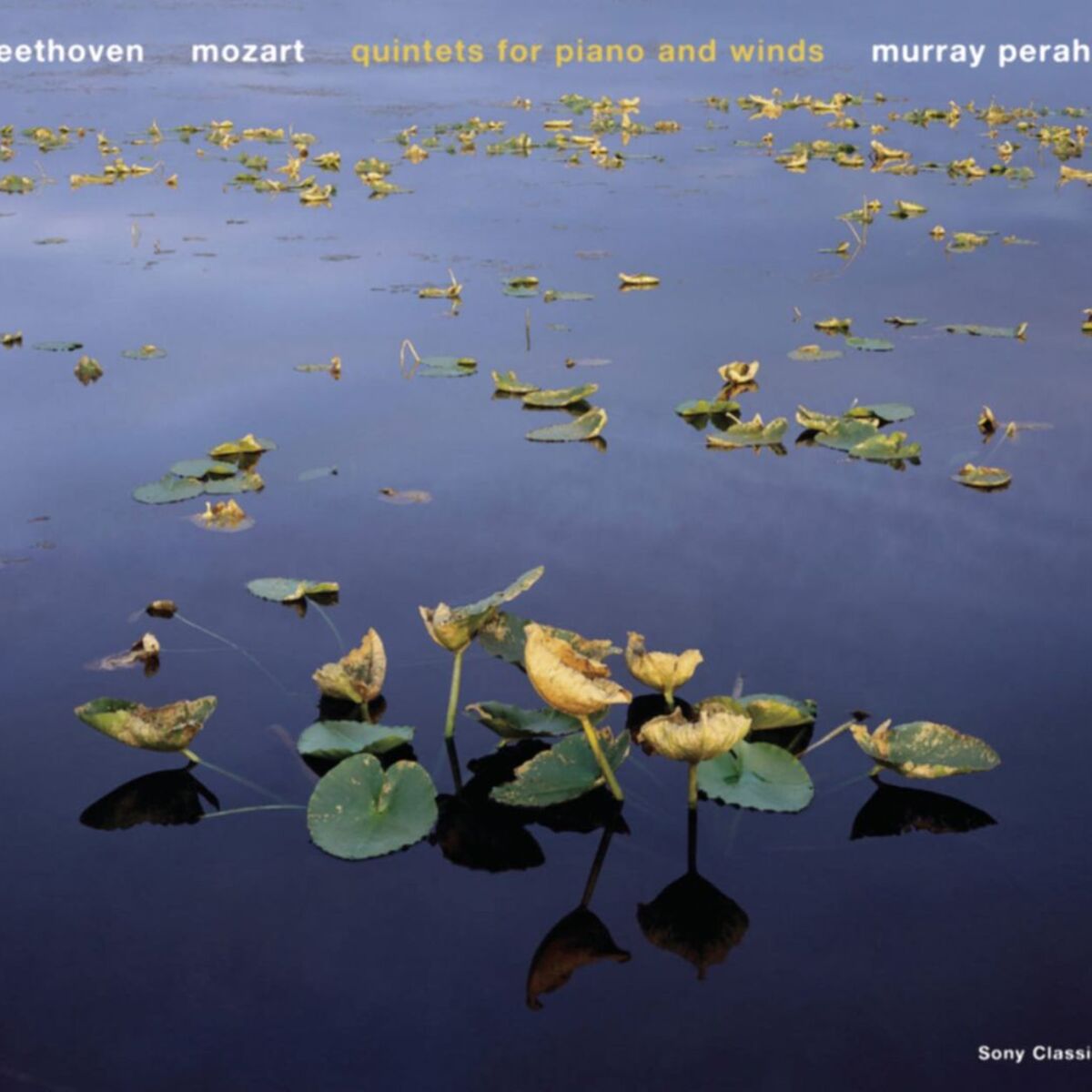 Album cover of Beethoven & Mozart: Piano Quintets
