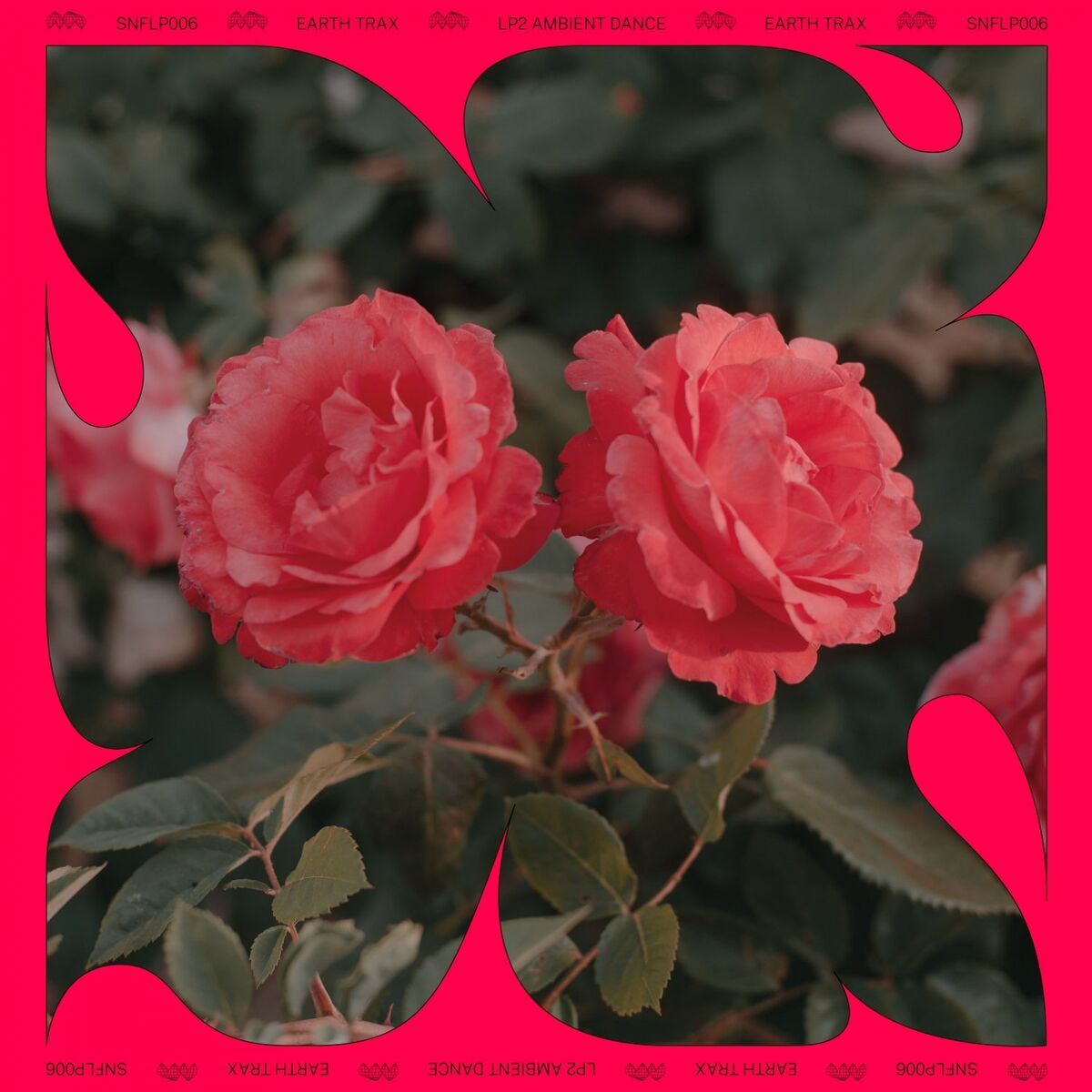 Album cover of LP2