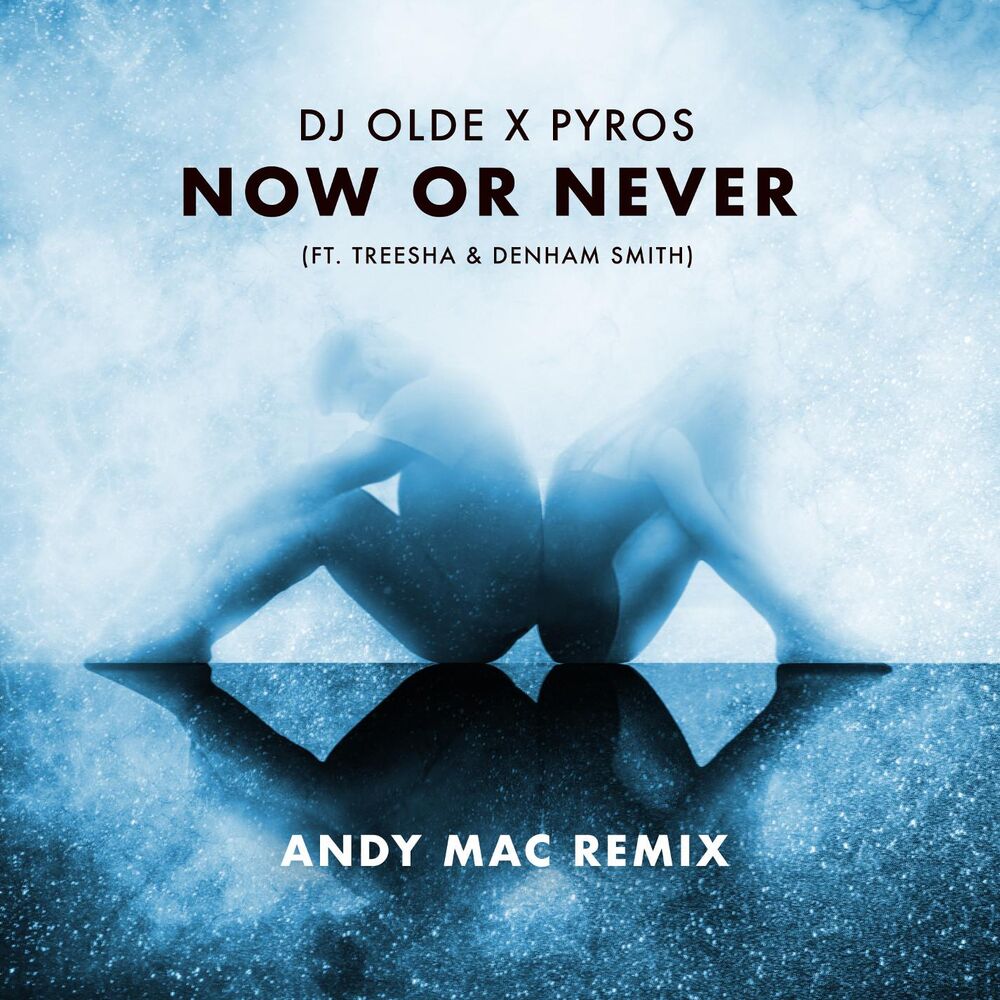 Picture of Now or Never (feat. Treesha & Denham Smith) [Andy Mac Remix]