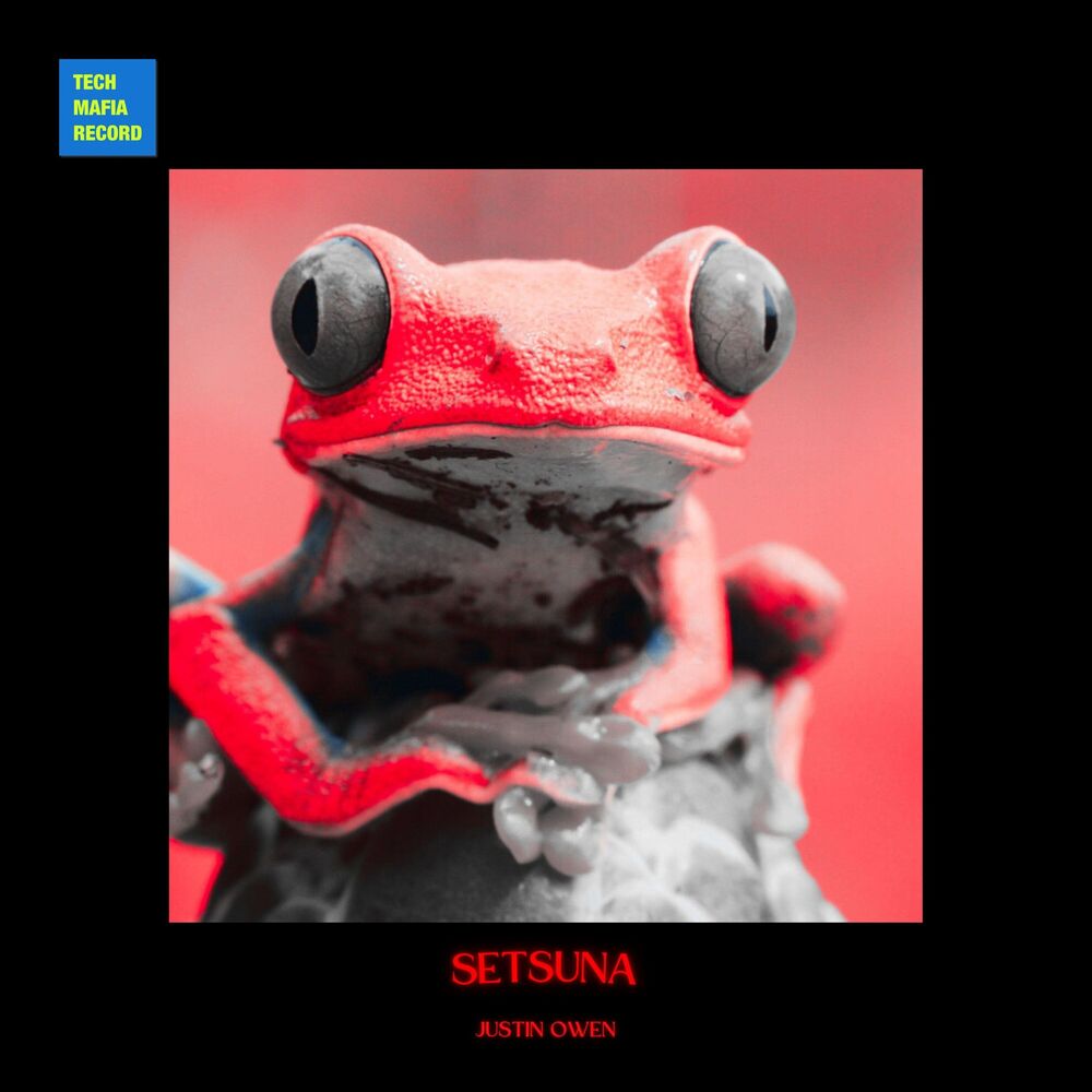 Picture of Setsuna