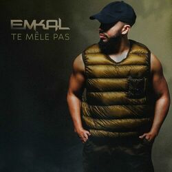 Cover of Te mêle pas