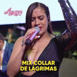 Cover of Mix Collar De Lágrimas (Collar De Lágrimas/ Tu Fuiste Mi Gran Amor)