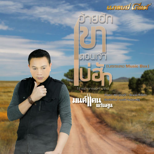 อ้ายฮักเขา ตอนเจ้าบ่ฮัก (music box)