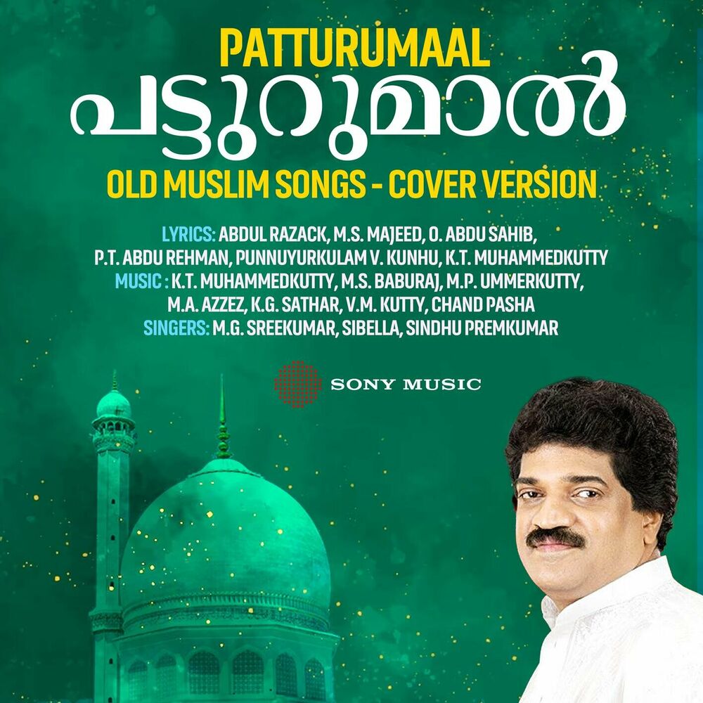 Picture of Patturumaal