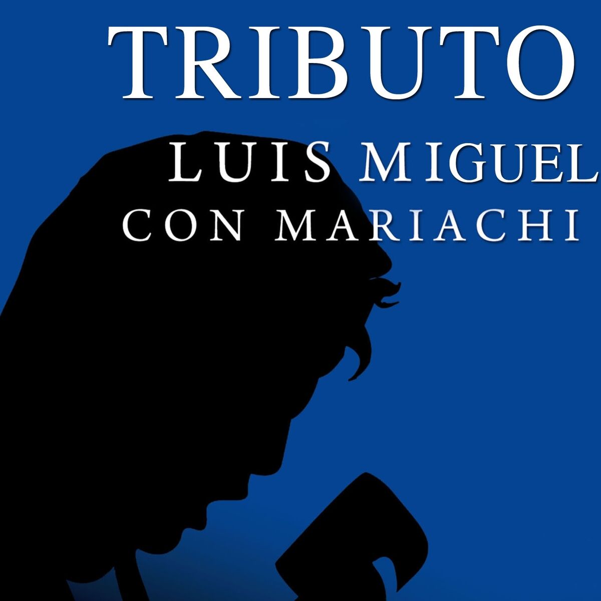 Album cover of Tributo a Luis Miguel Con Mariachi