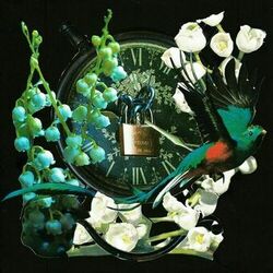 Cover of SONDER