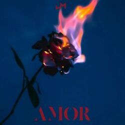 Amor