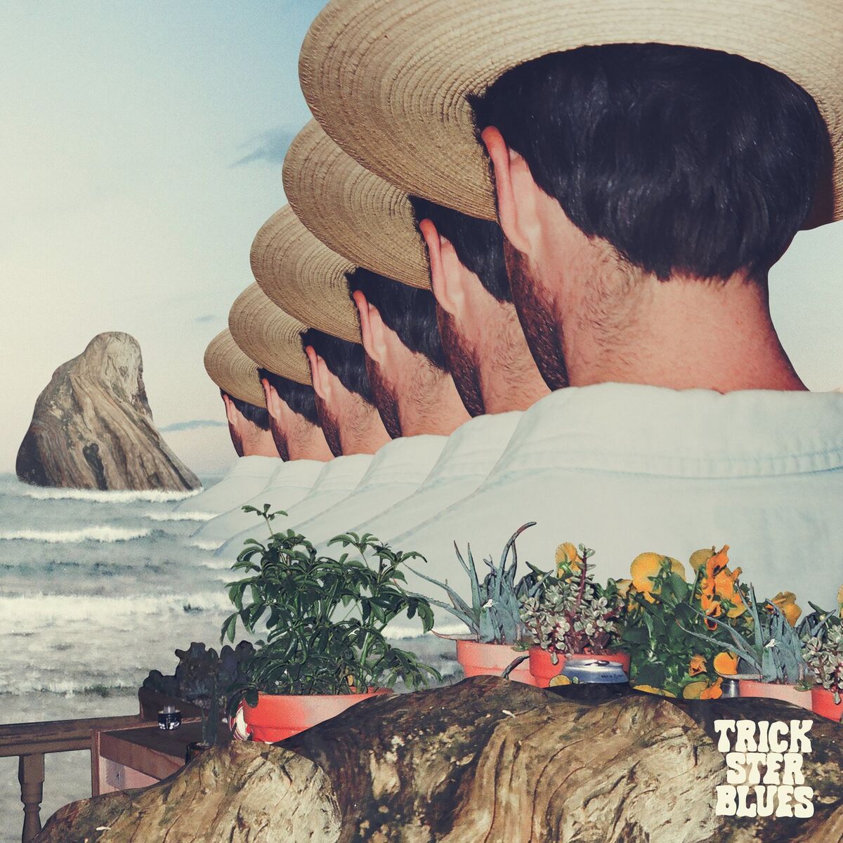 Album cover of Trickster Blues