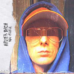Cover of Hipster Bitch