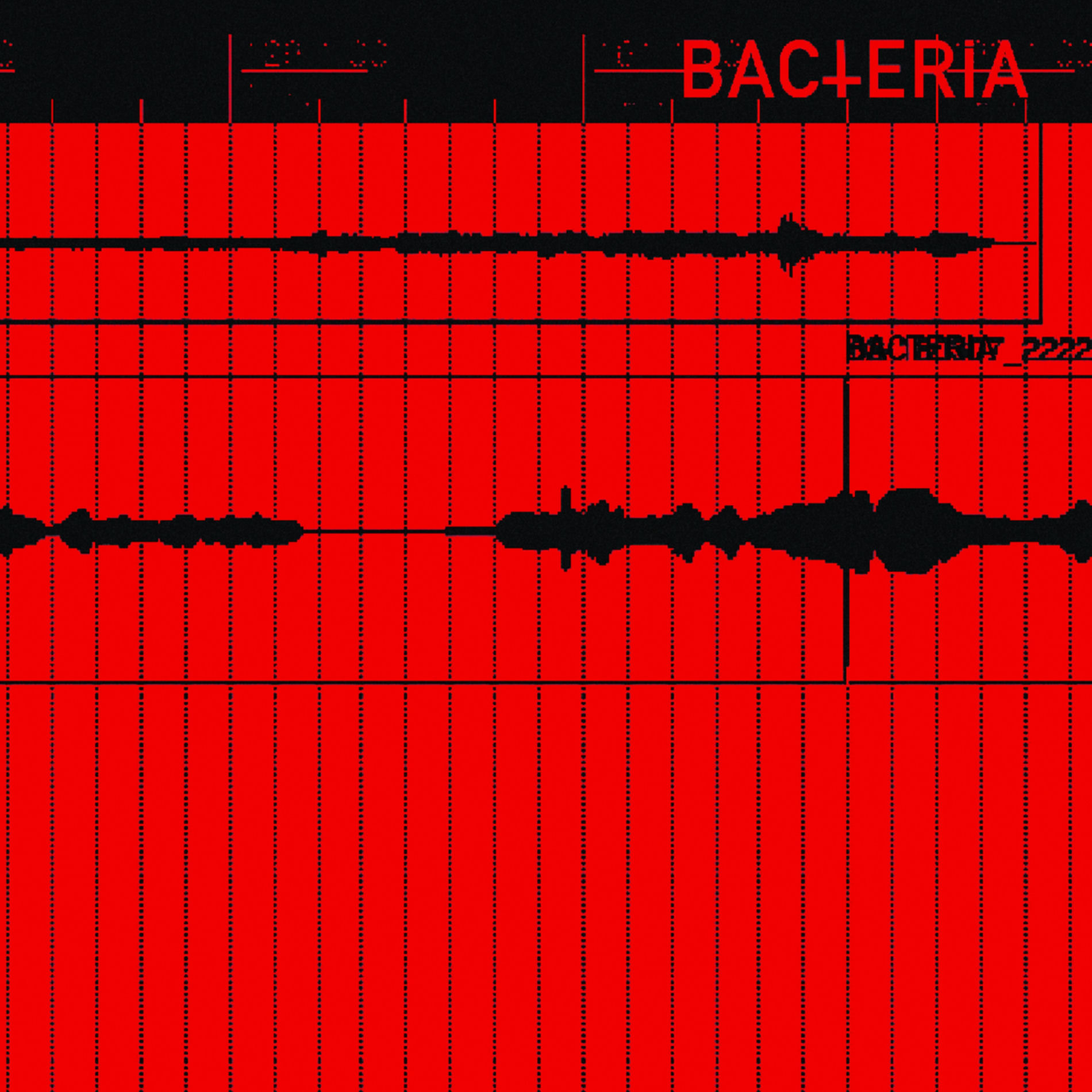 BACTERIA / WOMB Ⅰ LIVE AT CLUB QUE Bacteria - Bacteria | Deezer