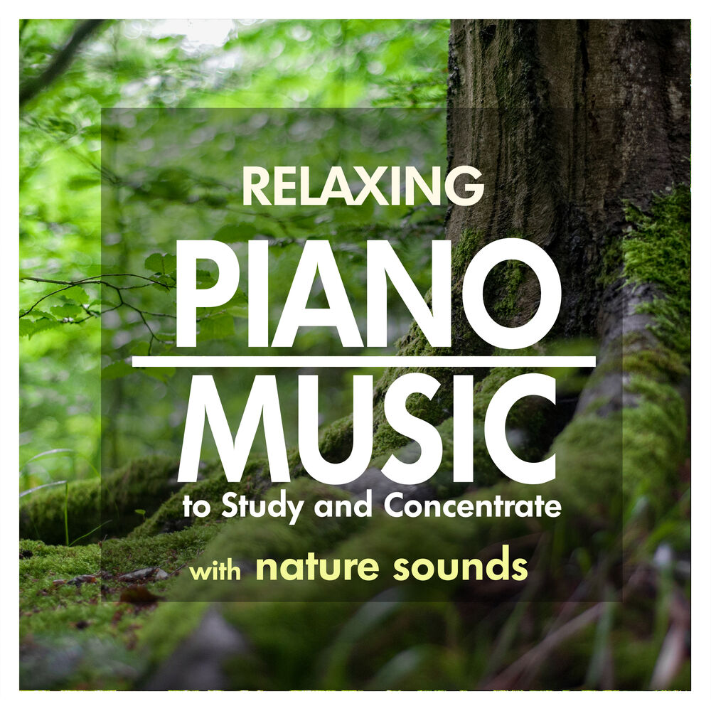 Picture of Relaxing Piano Music to Study and Concentrate with Nature Sounds