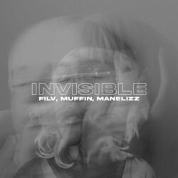 Cover of Invisible