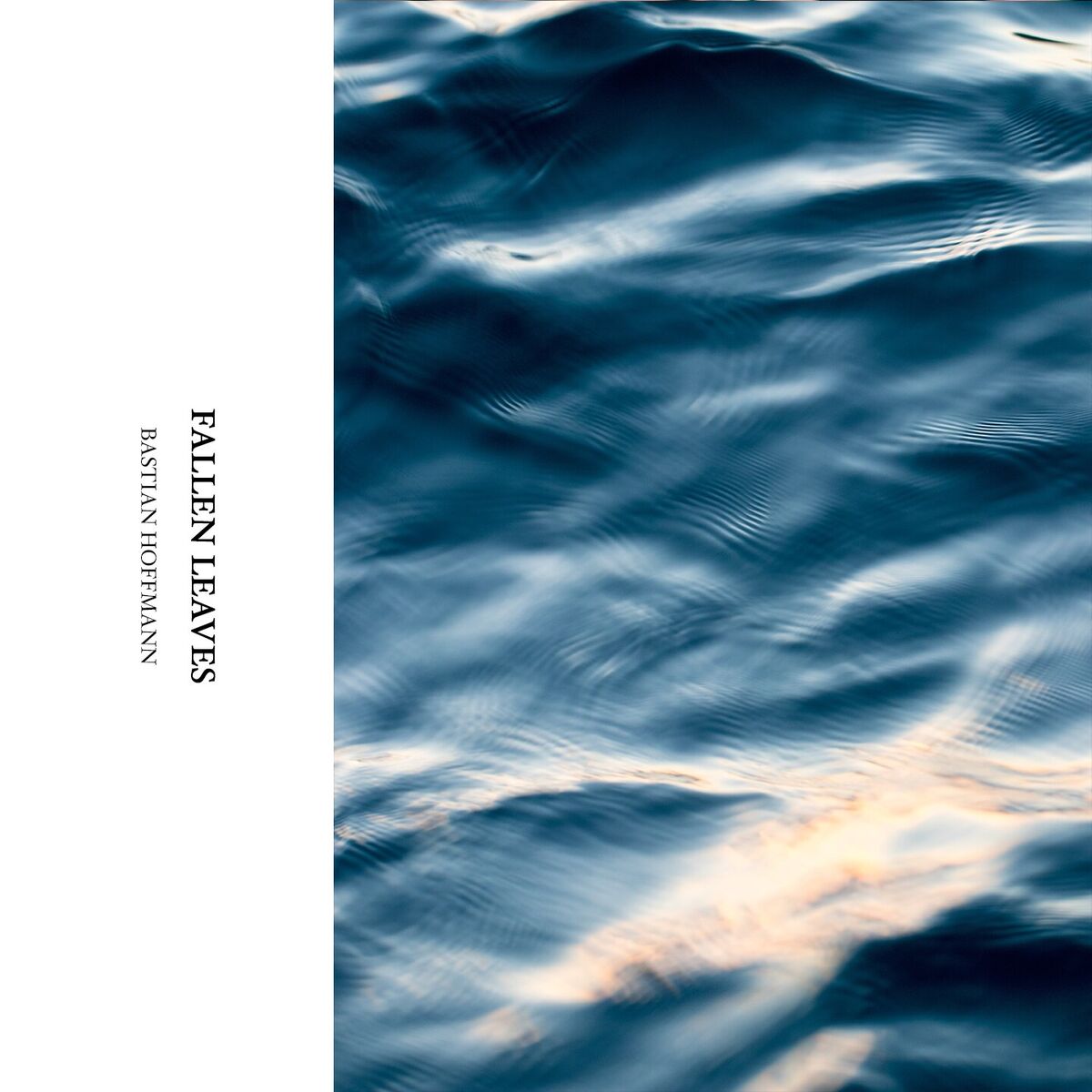 Album cover of Fallen Leaves