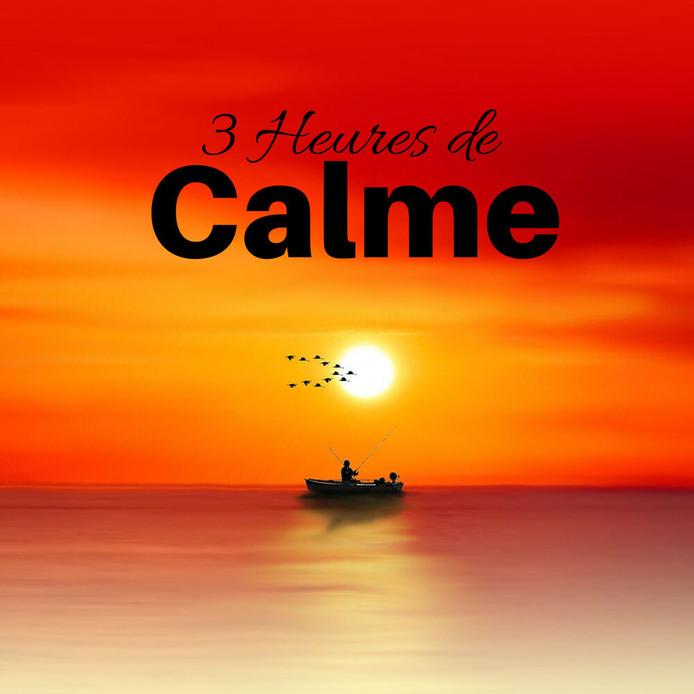Picture of 3 Heures de Calme - Musique Relaxante afin de Retrouver le Chemin du Bonheur et du Bien-être